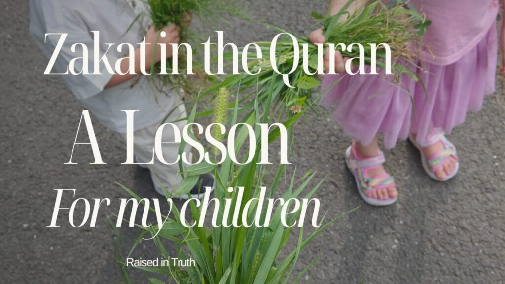 zakat in the Quran. a Lesson for my children